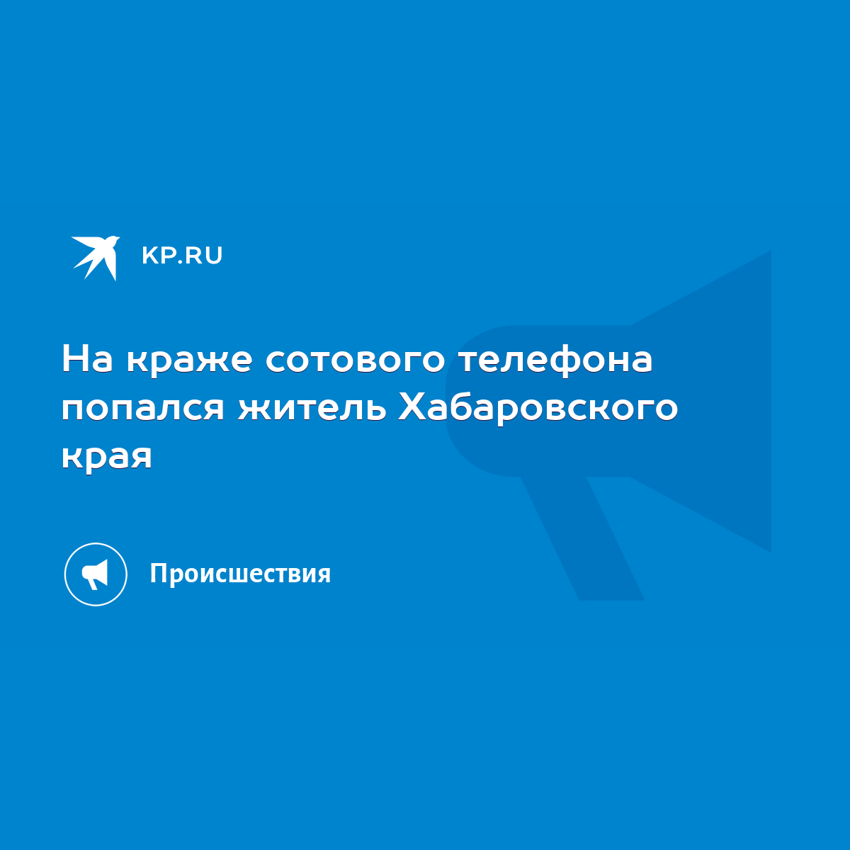 На краже сотового телефона попался житель Хабаровского края - KP.RU