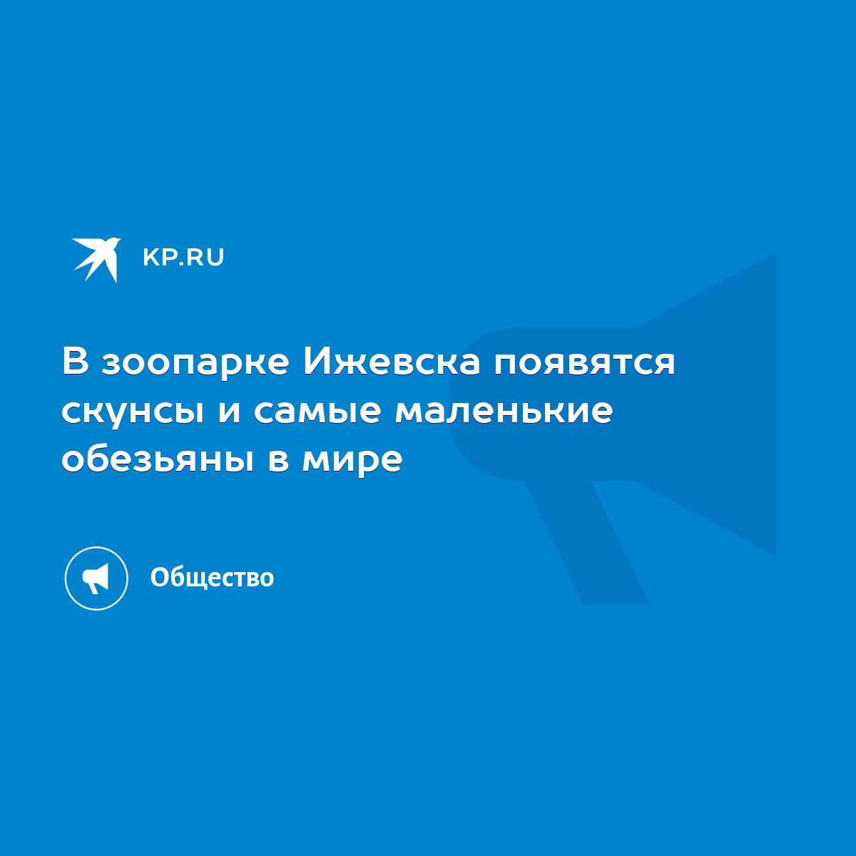 В зоопарке Ижевска появятся скунсы и самые маленькие обезьяны в мире - KP.RU