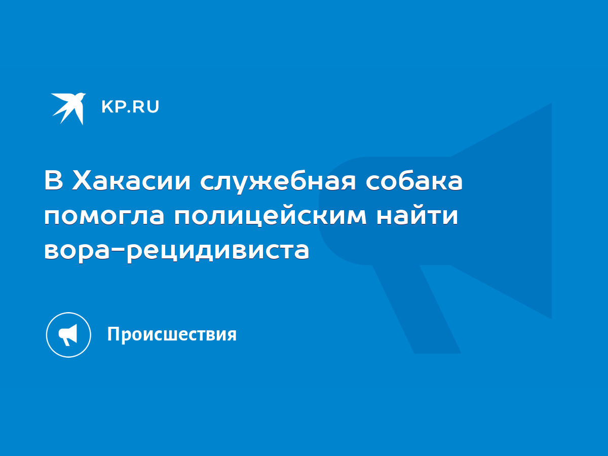 В Хакасии служебная собака помогла полицейским найти вора-рецидивиста -  KP.RU