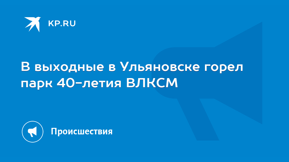 В выходные в Ульяновске горел парк 40-летия ВЛКСМ - KP.RU