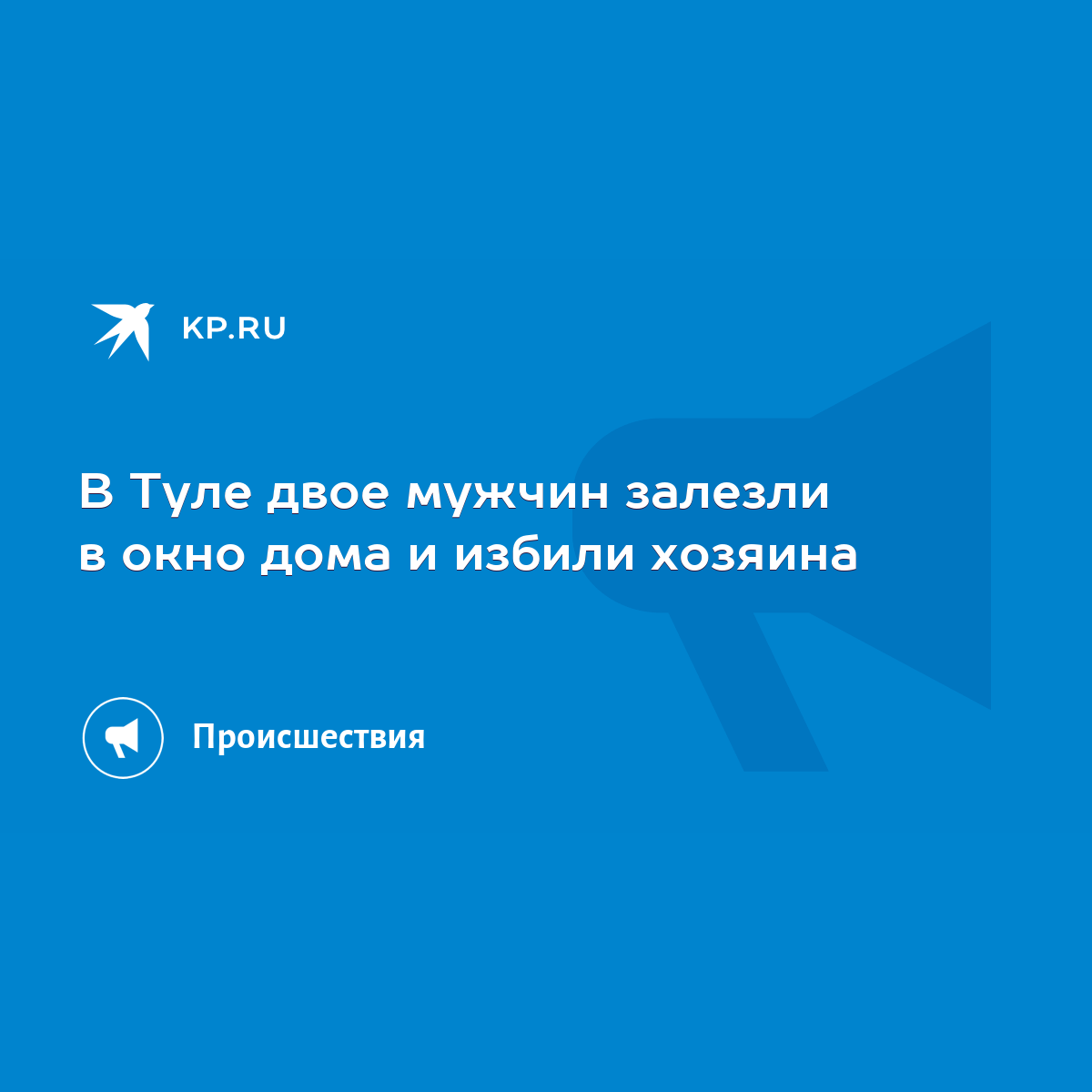 В Туле двое мужчин залезли в окно дома и избили хозяина - KP.RU