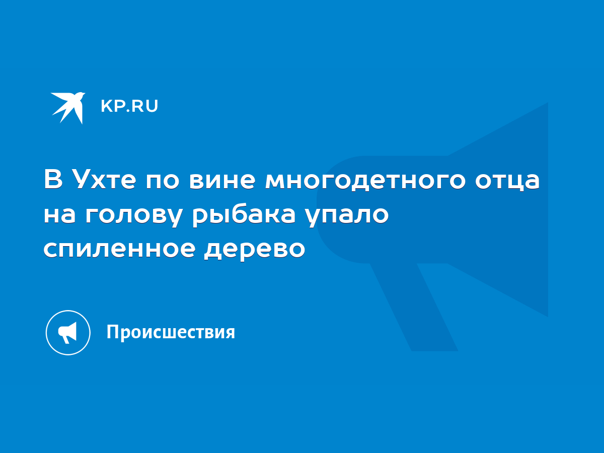 В Ухте по вине многодетного отца на голову рыбака упало спиленное дерево -  KP.RU