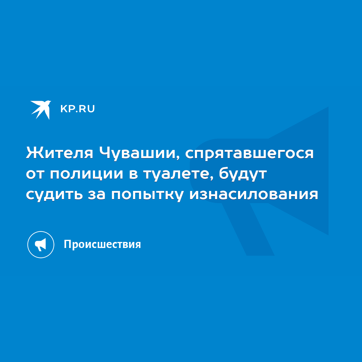 Жителя Чувашии, спрятавшегося от полиции в туалете, будут судить за попытку  изнасилования - KP.RU