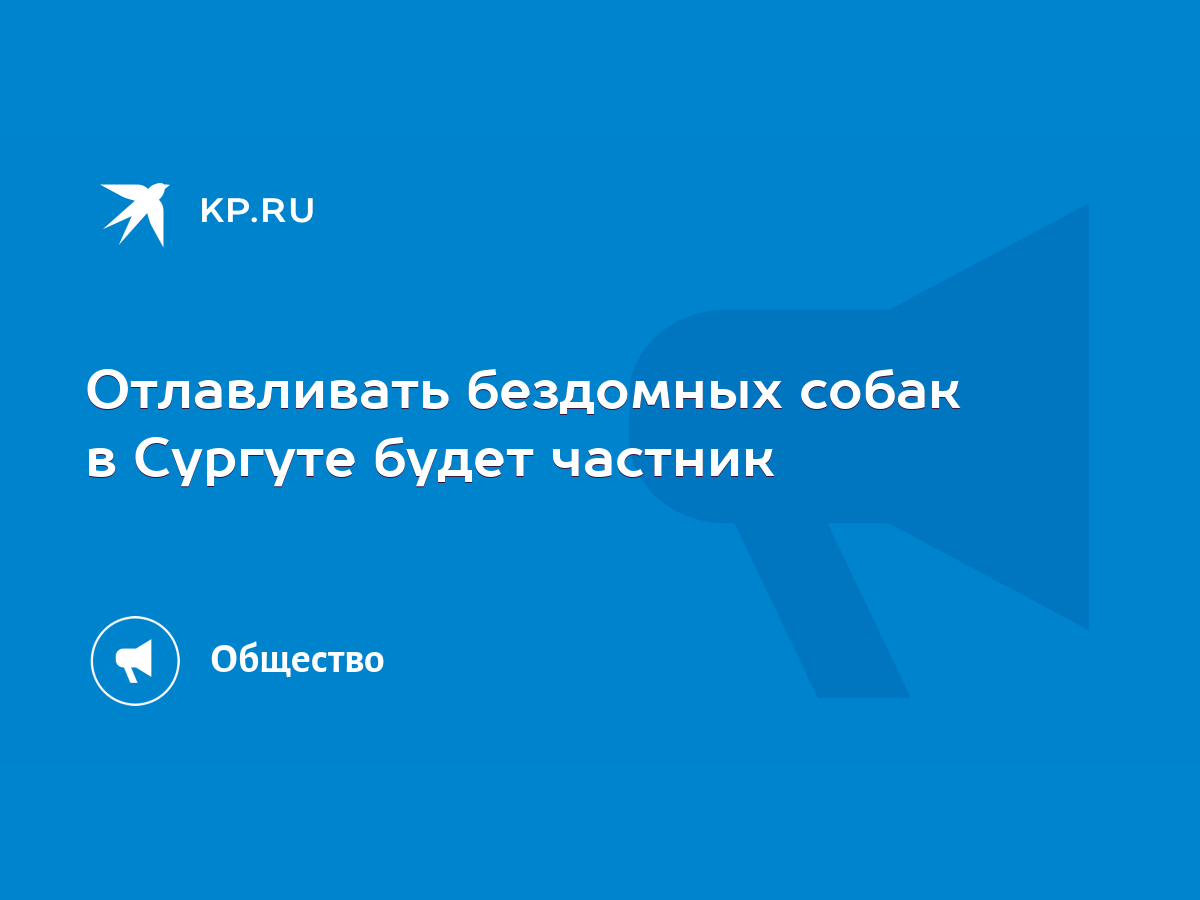 Отлавливать бездомных собак в Сургуте будет частник - KP.RU