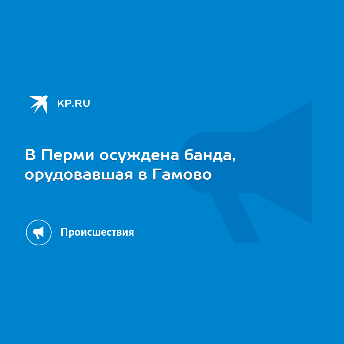 В Перми осуждена банда, орудовавшая в Гамово - KP.RU