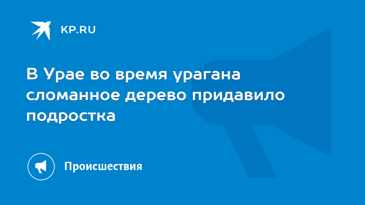 В Урае во время урагана сломанное дерево придавило подростка - KP.RU