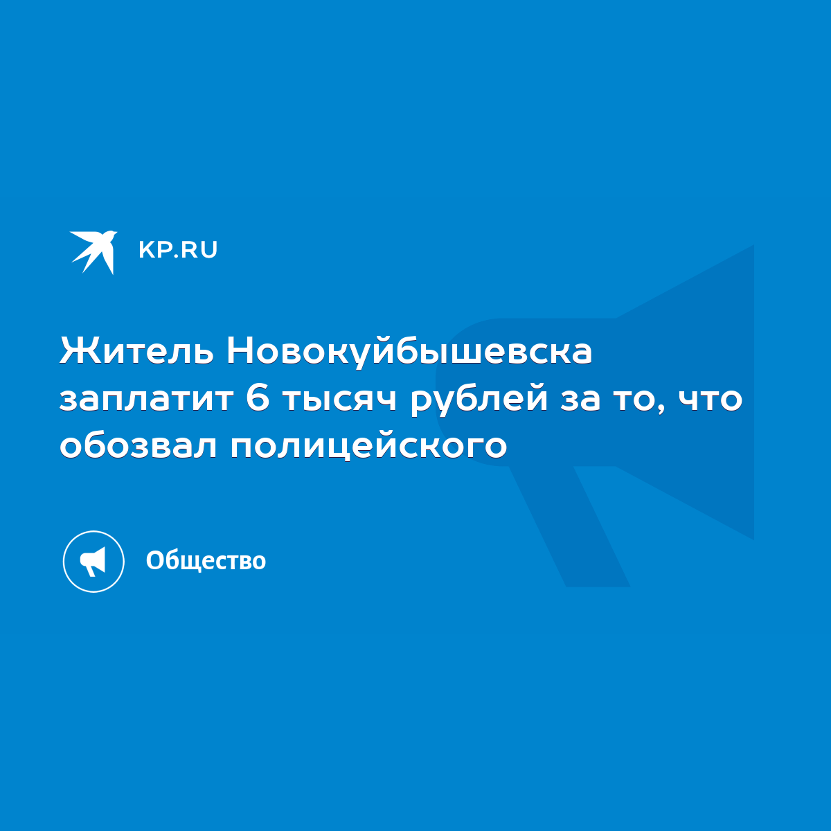 Житель Новокуйбышевска заплатит 6 тысяч рублей за то, что обозвал  полицейского - KP.RU