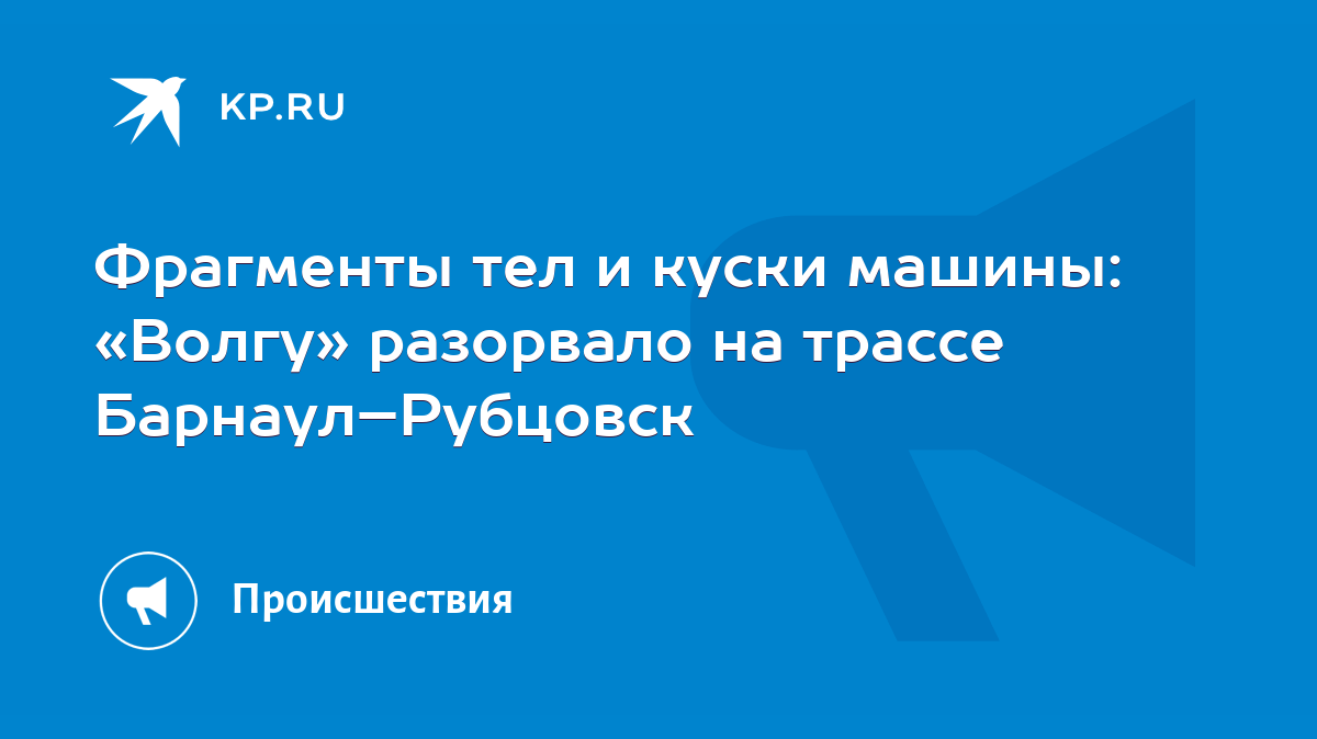 Фрагменты тел и куски машины: «Волгу» разорвало на трассе Барнаул–Рубцовск  - KP.RU