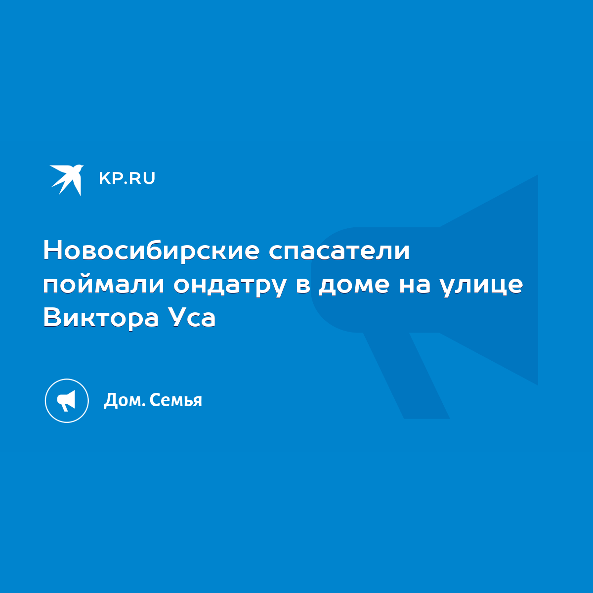 Новосибирские спасатели поймали ондатру в доме на улице Виктора Уса - KP.RU