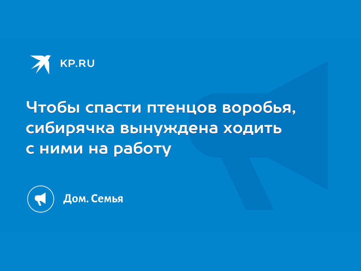 Чтобы спасти птенцов воробья, сибирячка вынуждена ходить с ними на работу -  KP.RU