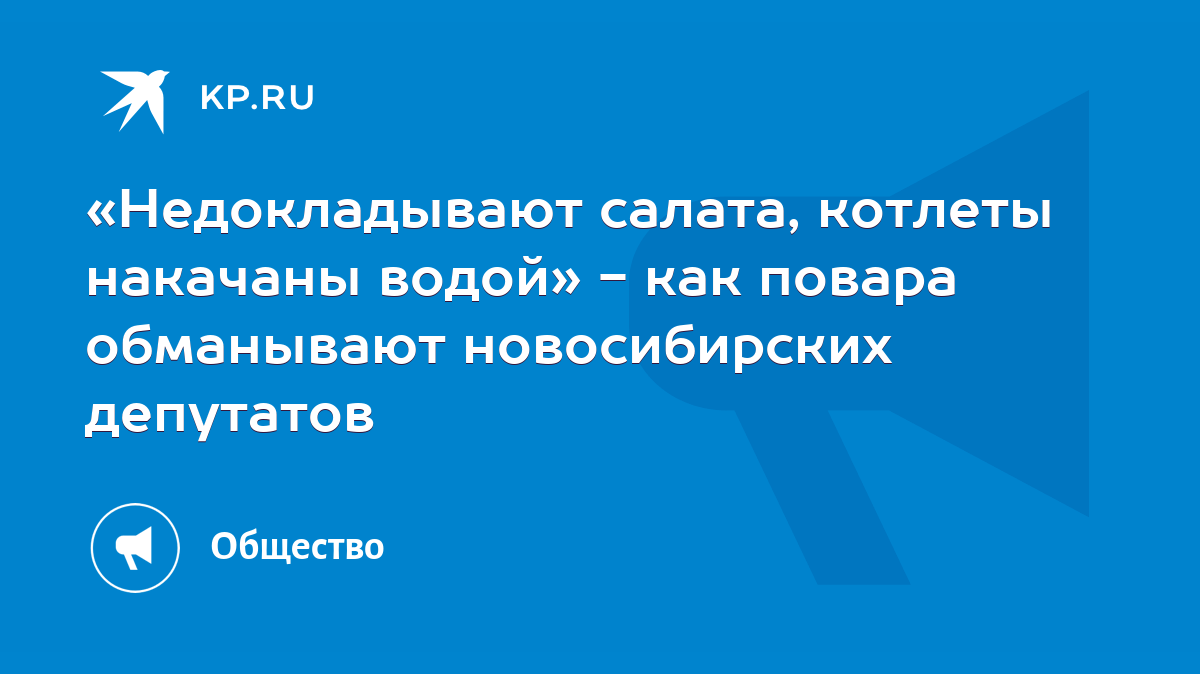 Недокладывают салата, котлеты накачаны водой» - как повара обманывают  новосибирских депутатов - KP.RU