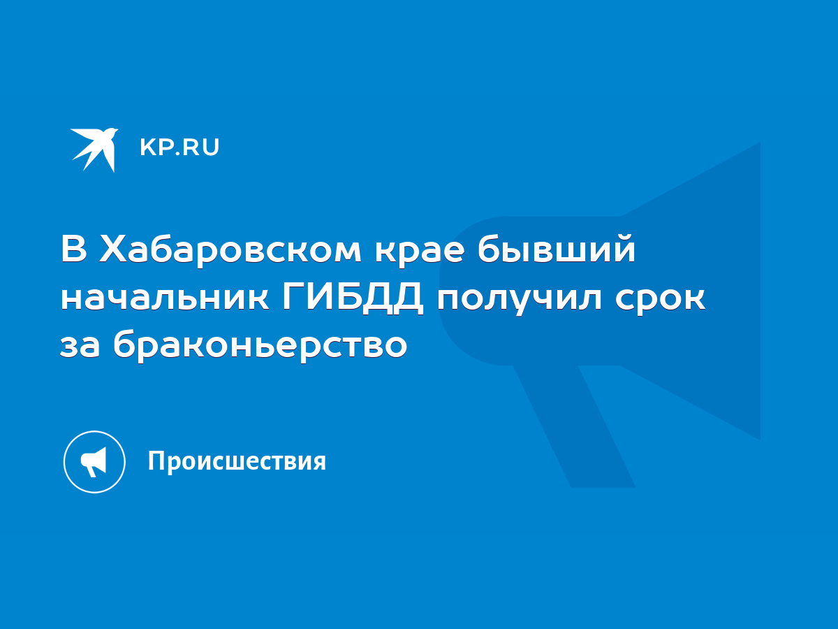 В Хабаровском крае бывший начальник ГИБДД получил срок за браконьерство -  KP.RU