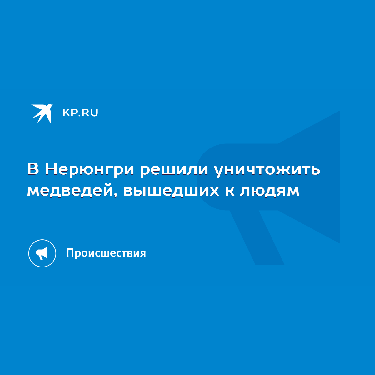 В Нерюнгри решили уничтожить медведей, вышедших к людям - KP.RU