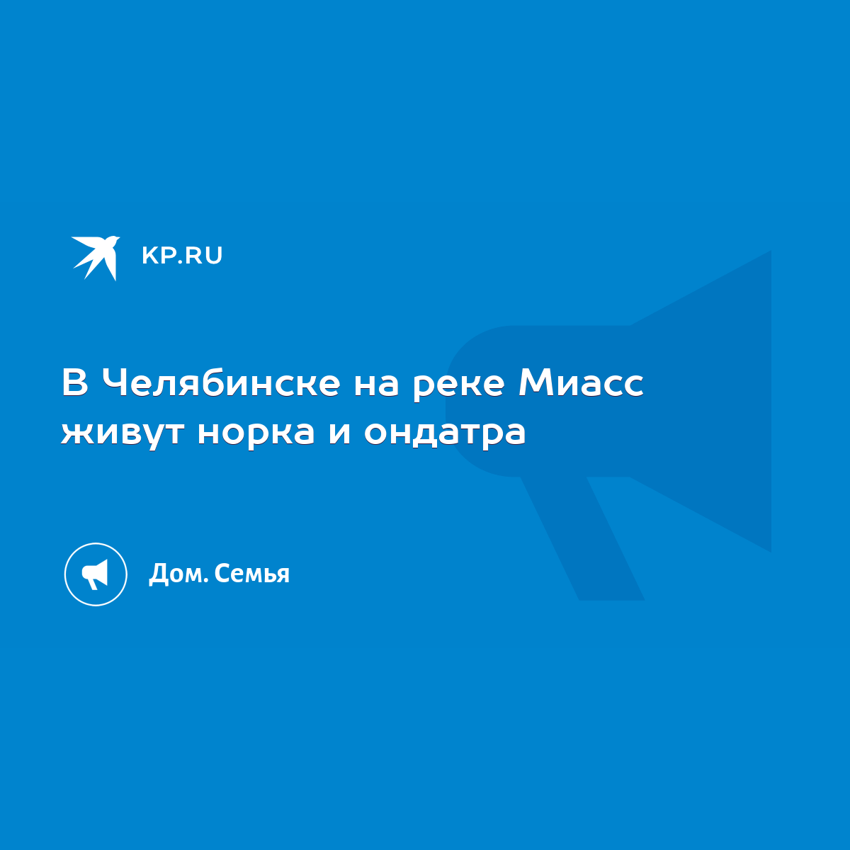 В Челябинске на реке Миасс живут норка и ондатра - KP.RU