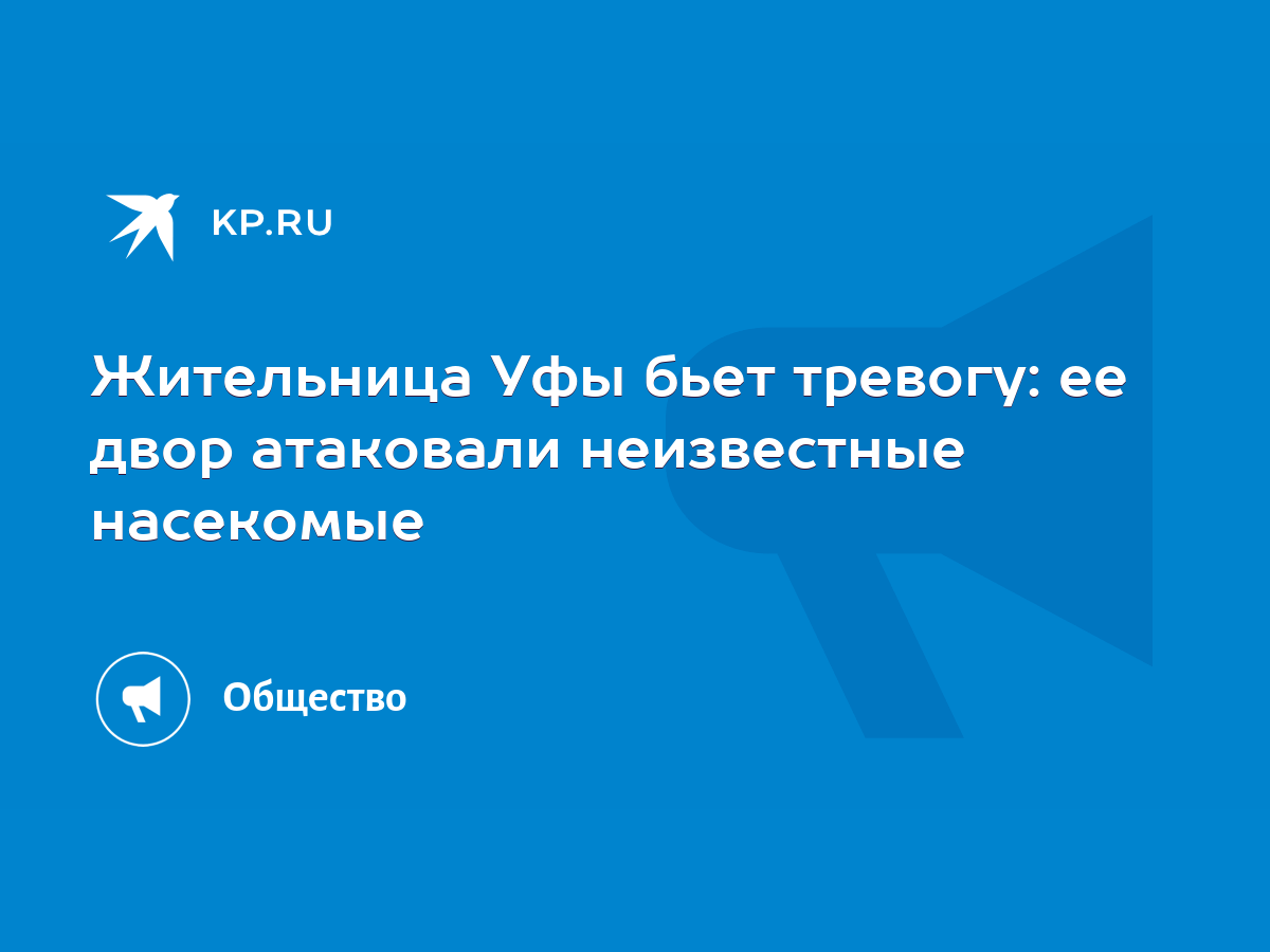 Жительница Уфы бьет тревогу: ее двор атаковали неизвестные насекомые - KP.RU