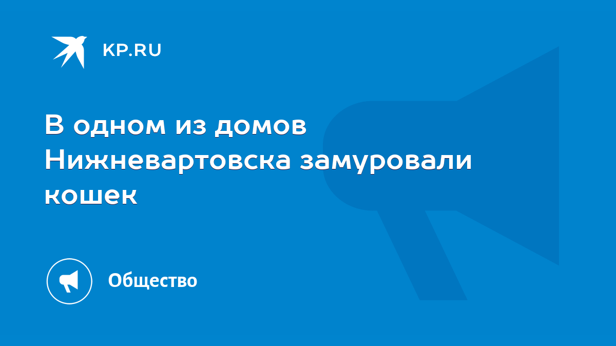 В одном из домов Нижневартовска замуровали кошек - KP.RU