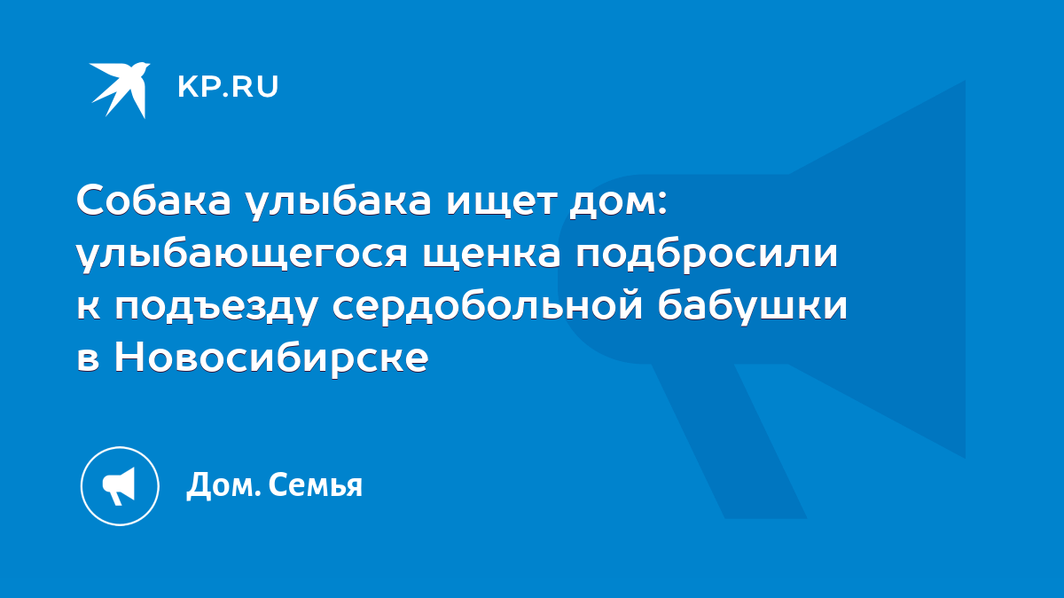 Собака улыбака ищет дом: улыбающегося щенка подбросили к подъезду  сердобольной бабушки в Новосибирске - KP.RU