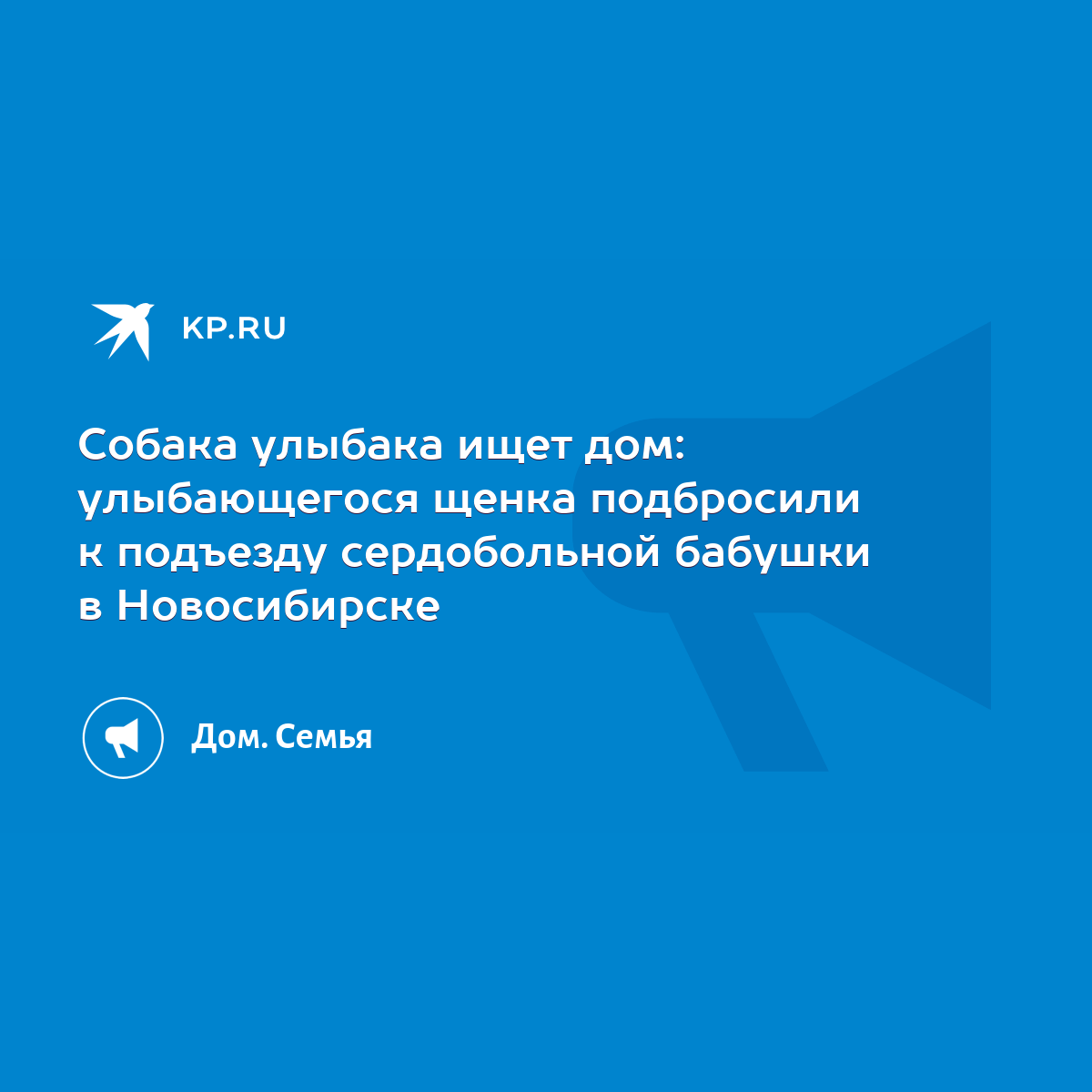 Собака улыбака ищет дом: улыбающегося щенка подбросили к подъезду  сердобольной бабушки в Новосибирске - KP.RU