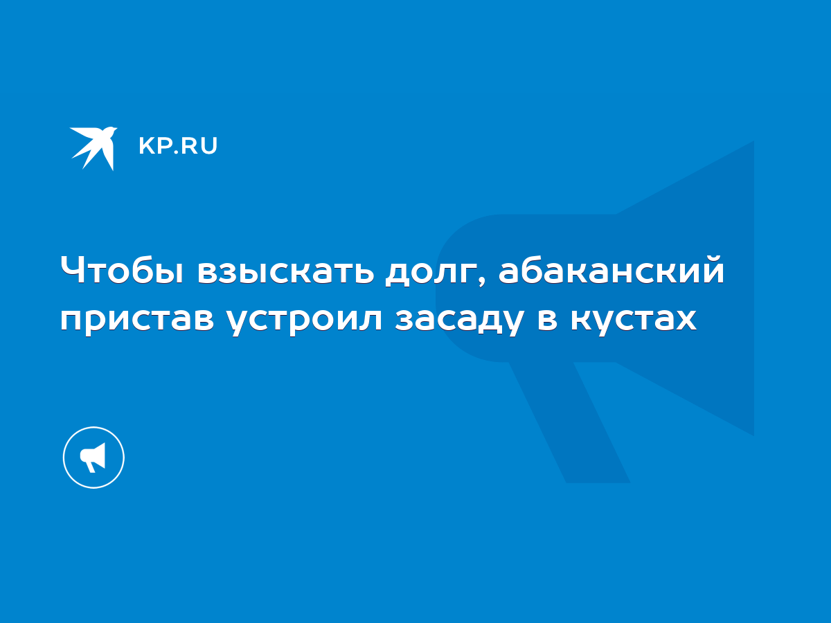 Чтобы взыскать долг, абаканский пристав устроил засаду в кустах - KP.RU