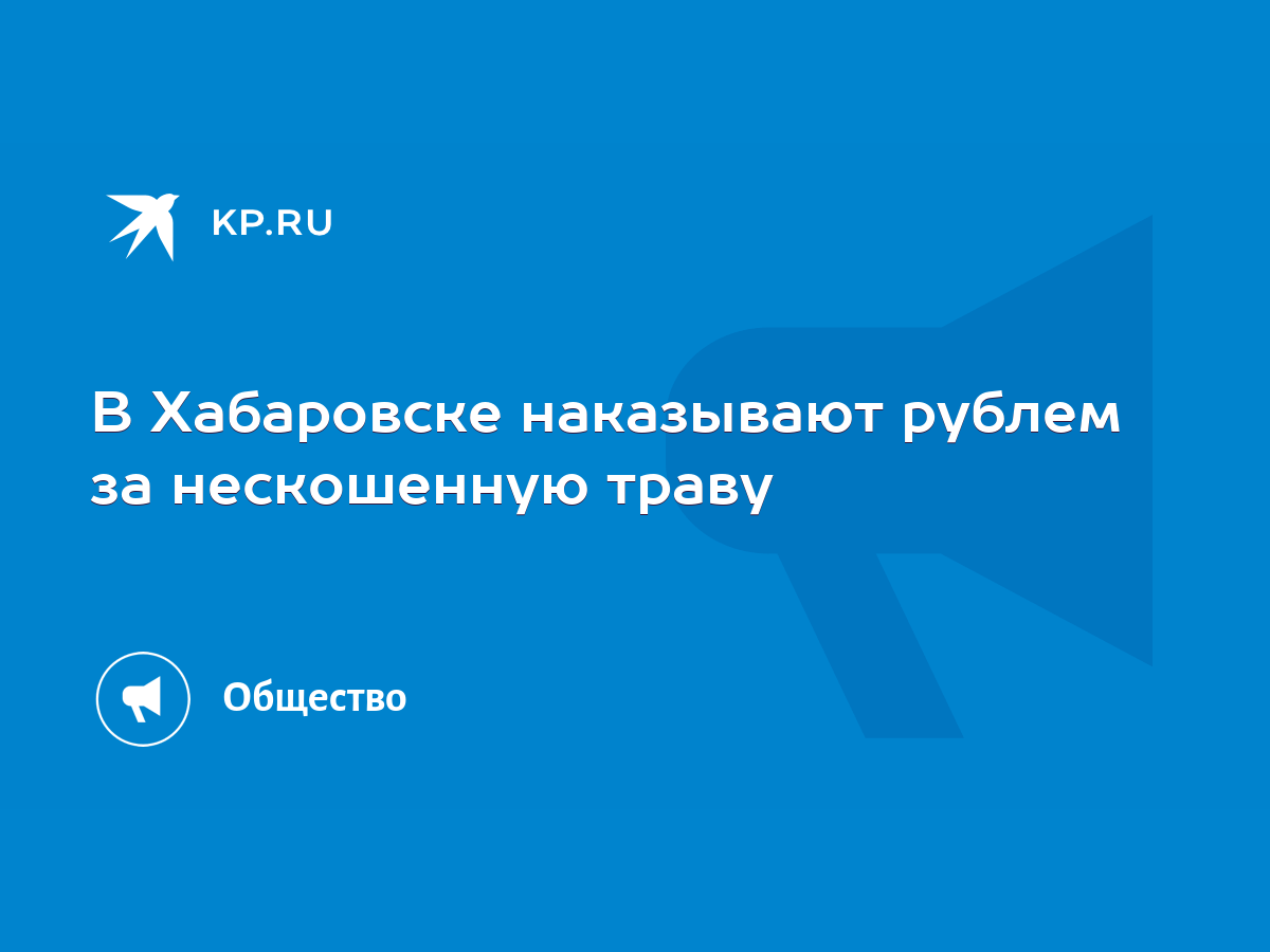 В Хабаровске наказывают рублем за нескошенную траву - KP.RU