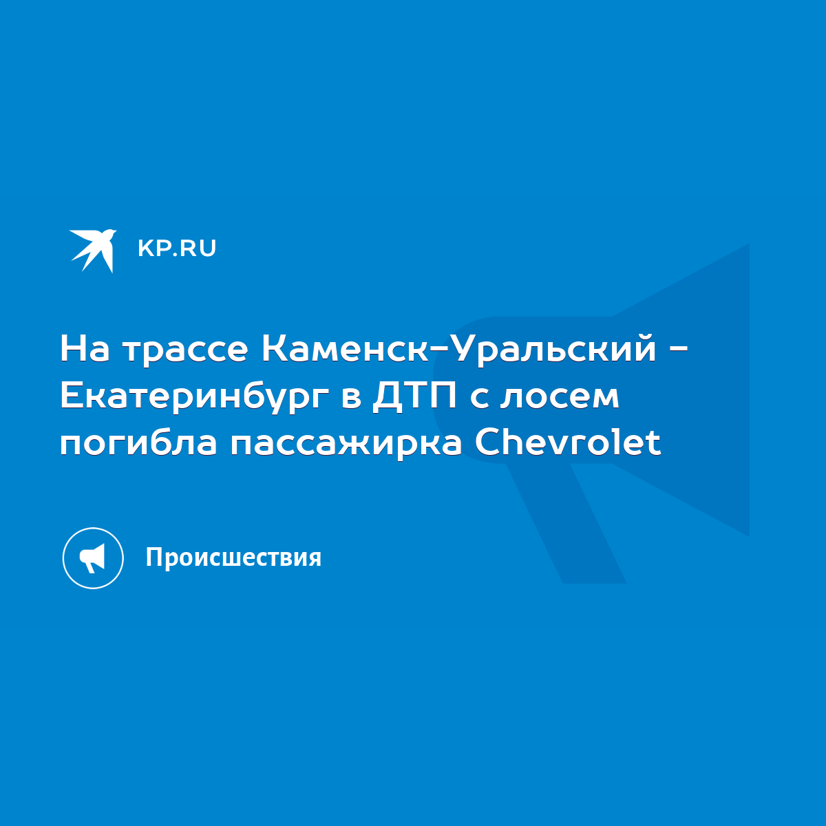 На трассе Каменск-Уральский - Екатеринбург в ДТП с лосем погибла пассажирка  Chevrolet - KP.RU