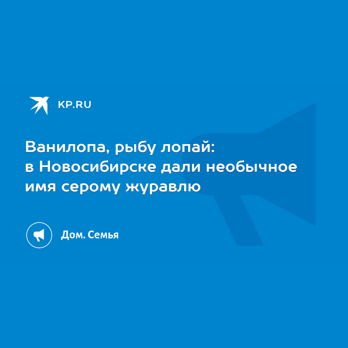 Ванилопа, рыбу лопай: в Новосибирске дали необычное имя серому журавлю -  KP.RU