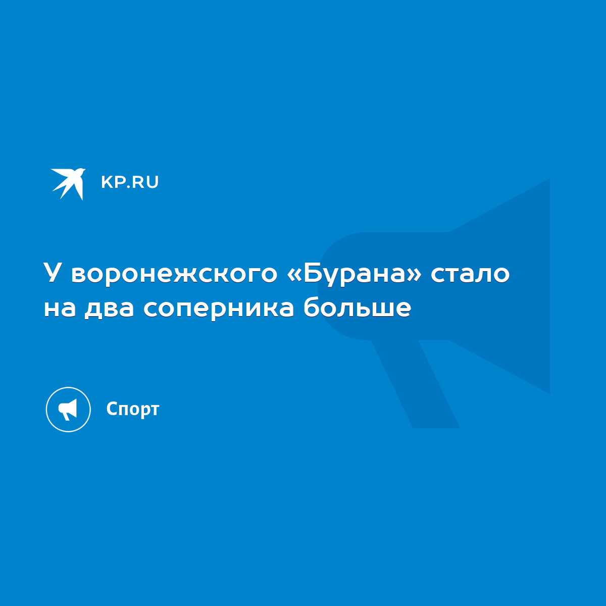 У воронежского «Бурана» стало на два соперника больше - KP.RU