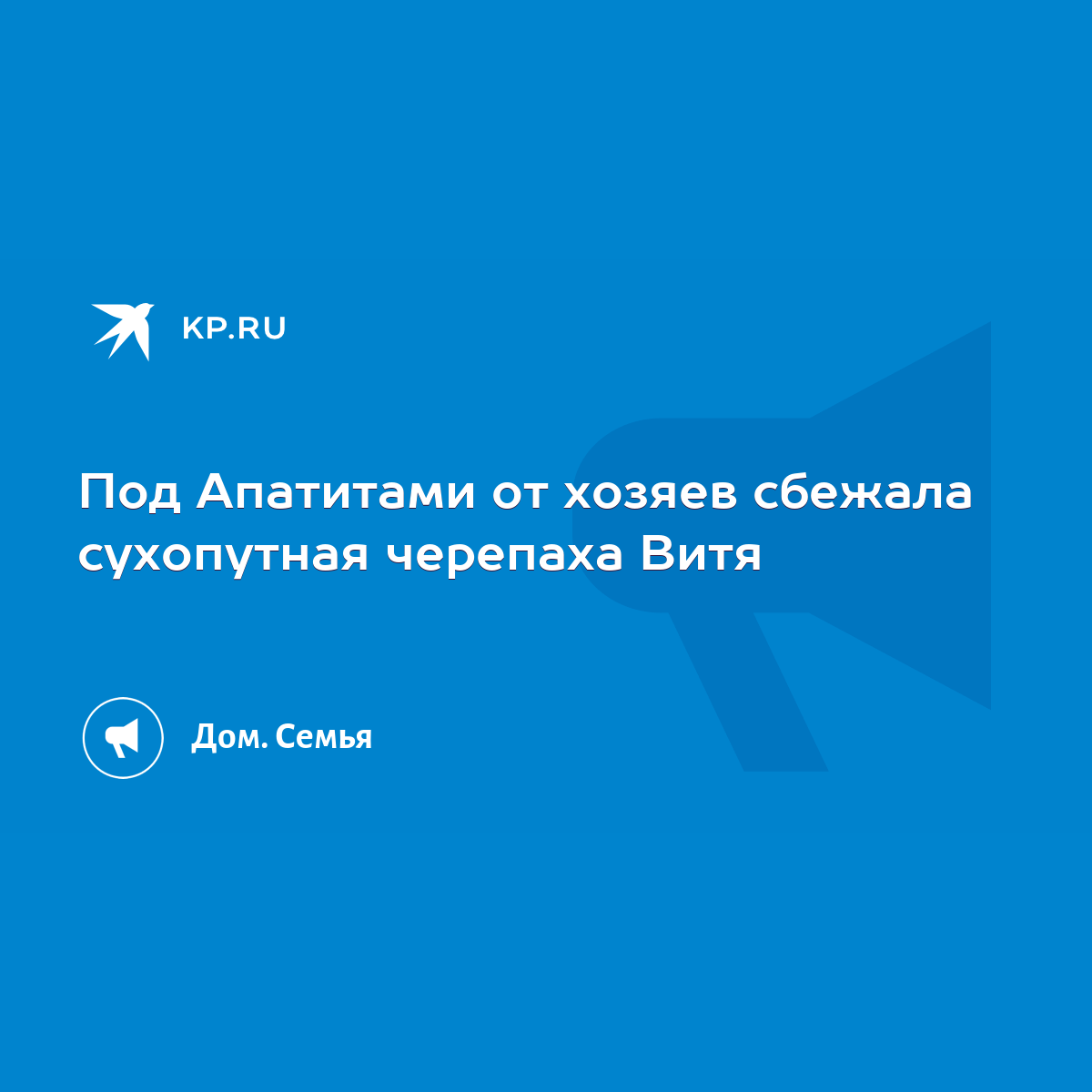 Под Апатитами от хозяев сбежала сухопутная черепаха Витя - KP.RU