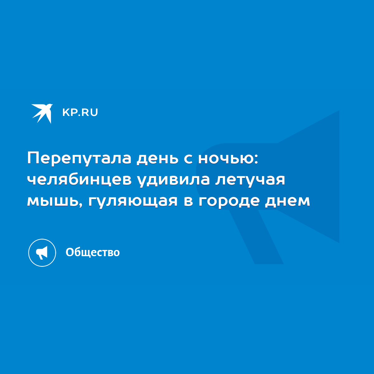 Перепутала день с ночью: челябинцев удивила летучая мышь, гуляющая в городе  днем - KP.RU