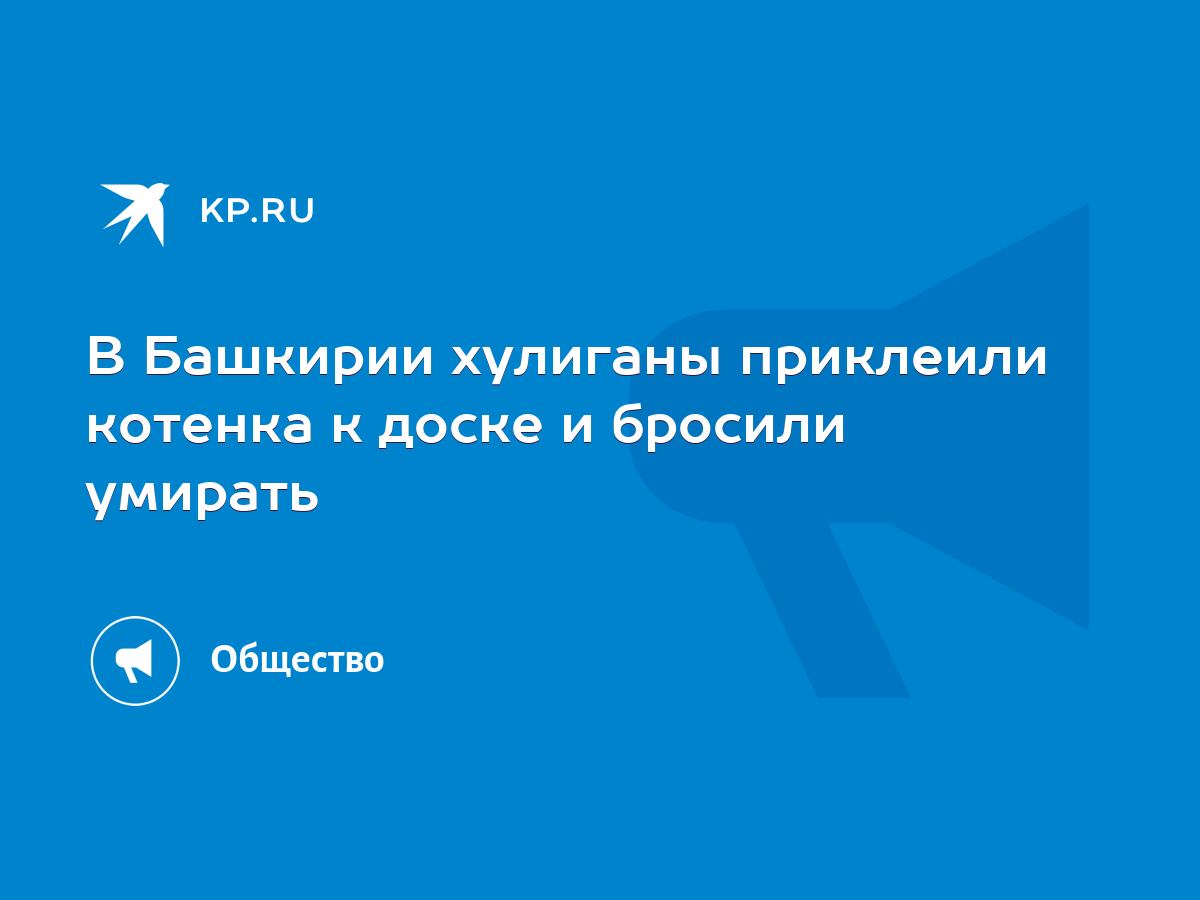 В Башкирии хулиганы приклеили котенка к доске и бросили умирать - KP.RU