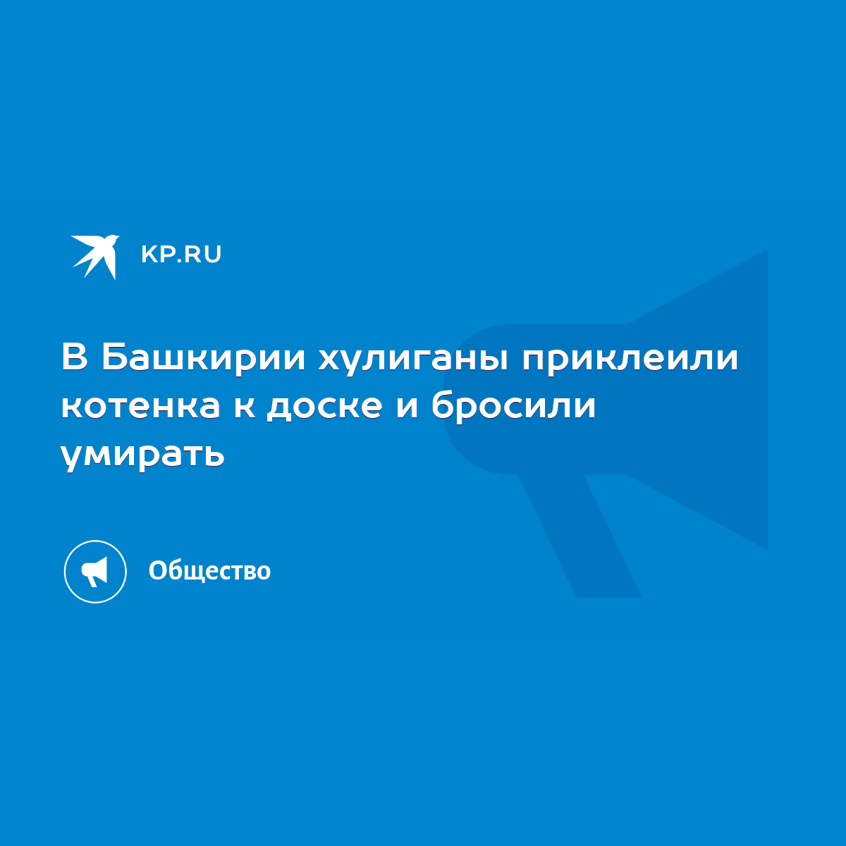 В Башкирии хулиганы приклеили котенка к доске и бросили умирать - KP.RU