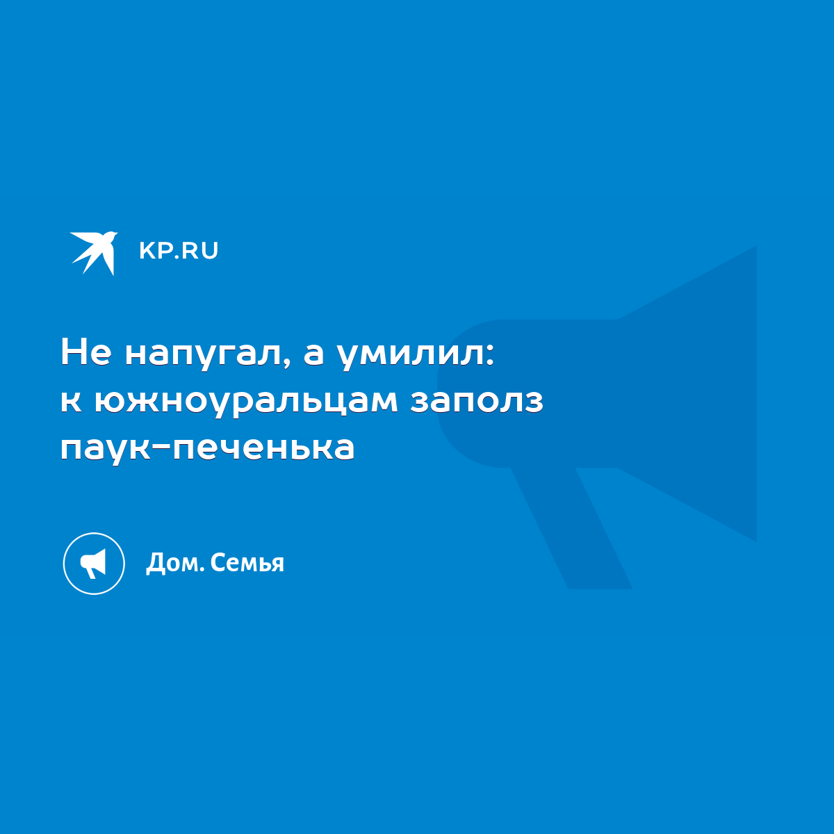 Не напугал, а умилил: к южноуральцам заполз паук-печенька - KP.RU