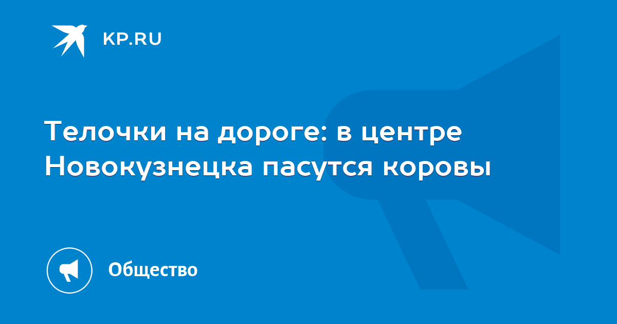 Маленькую девочку сняли с крыши пристроя к дому на улице Красных Мадьяр в Иркутске