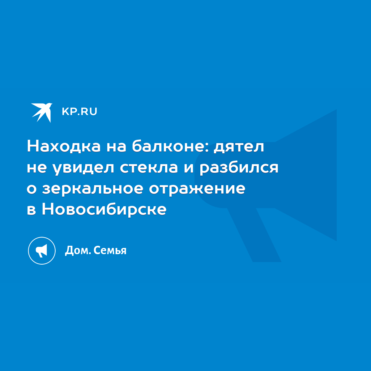 Находка на балконе: дятел не увидел стекла и разбился о зеркальное  отражение - KP.RU