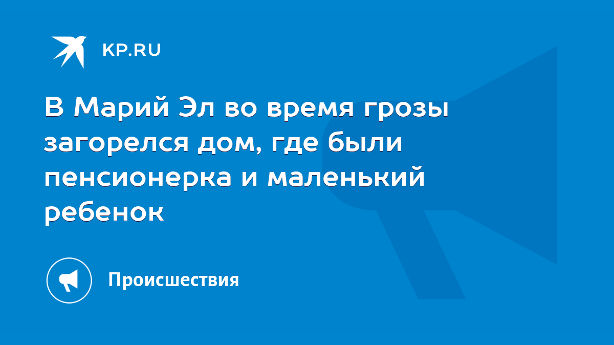 В Марий Эл во время грозы загорелся дом, где были пенсионерка и маленький  ребенок - KP.RU