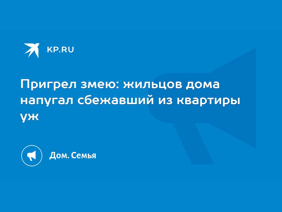 Пригрел змею: жильцов дома напугал сбежавший из квартиры уж - KP.RU