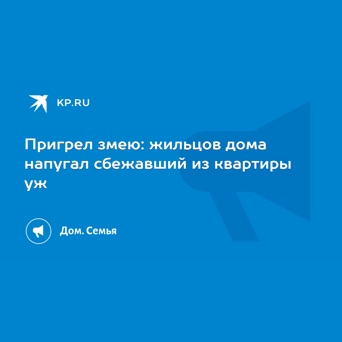 Пригрел змею: жильцов дома напугал сбежавший из квартиры уж - KP.RU