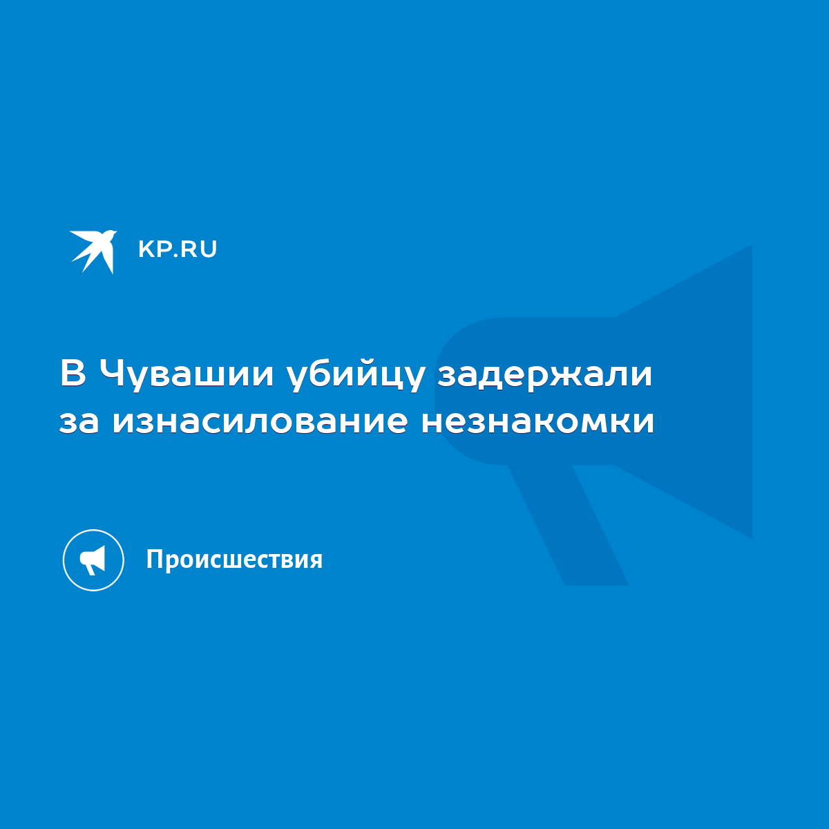 В Чувашии убийцу задержали за изнасилование незнакомки - KP.RU