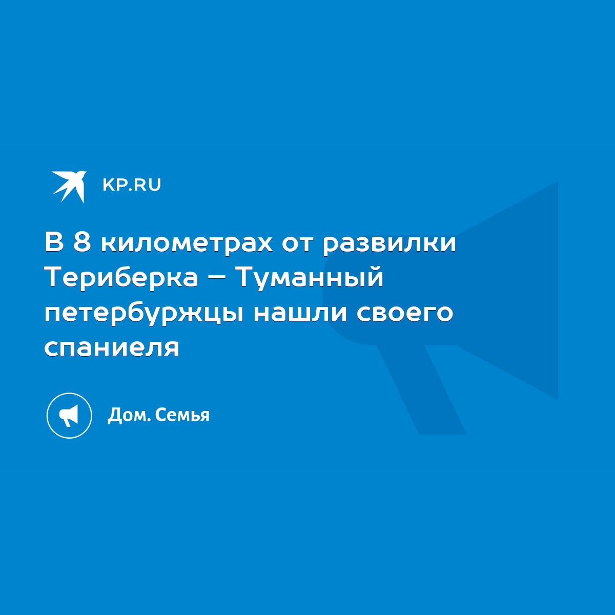 В 8 километрах от развилки Териберка – Туманный петербуржцы нашли своего  спаниеля - KP.RU