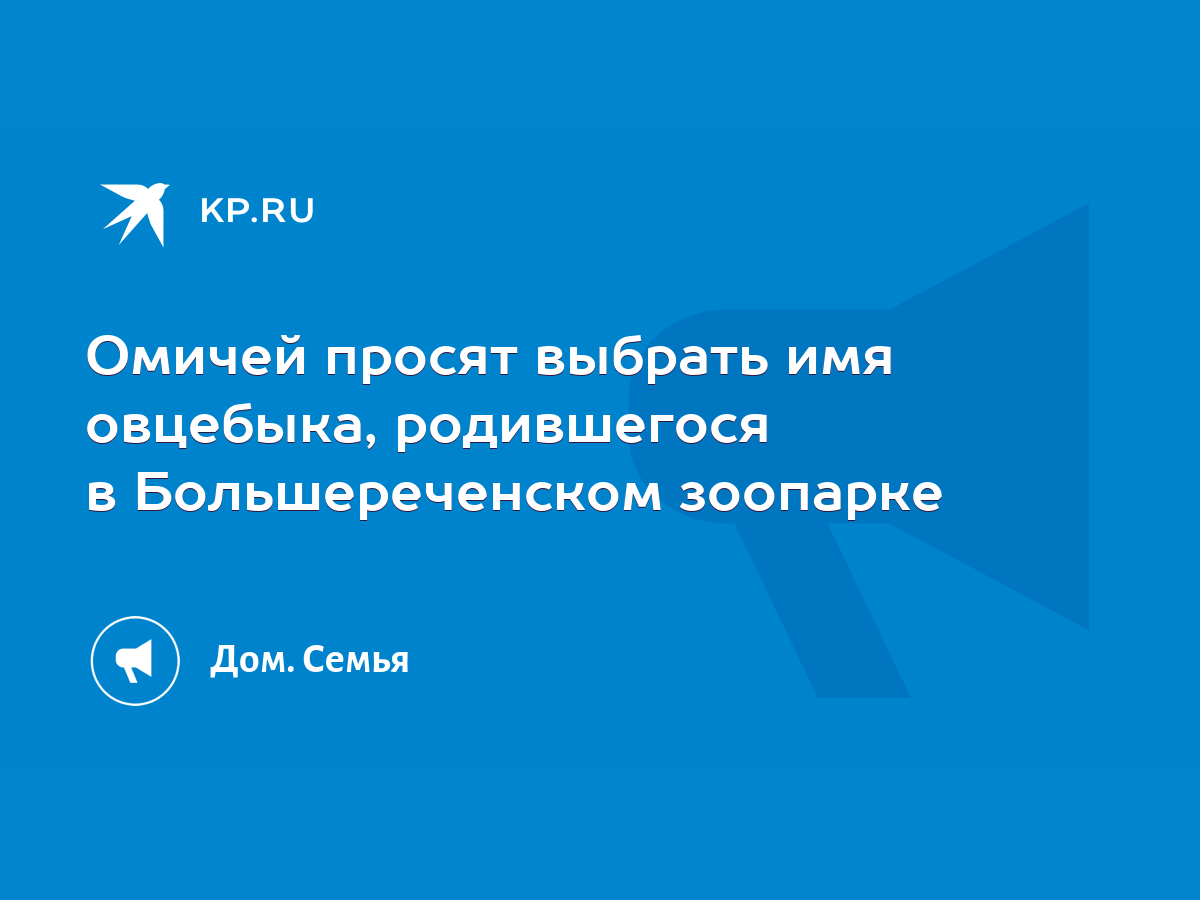 Омичей просят выбрать имя овцебыка, родившегося в Большереченском зоопарке  - KP.RU