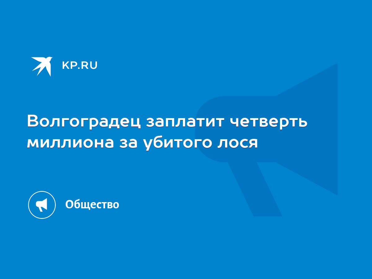 Волгоградец заплатит четверть миллиона за убитого лося - KP.RU