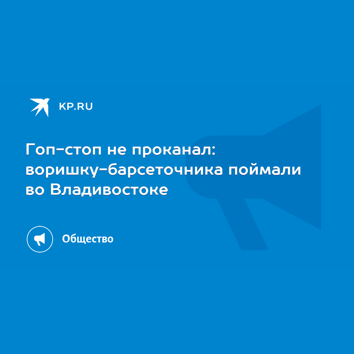 Гоп-стоп не проканал: воришку-барсеточника поймали во Владивостоке - KP.RU