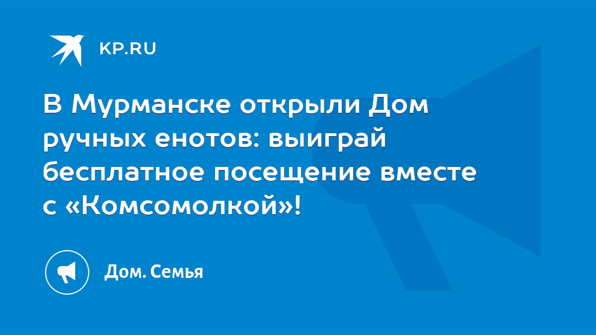 В Мурманске открыли Дом ручных енотов: выиграй бесплатное посещение вместе  с «Комсомолкой»! - KP.RU