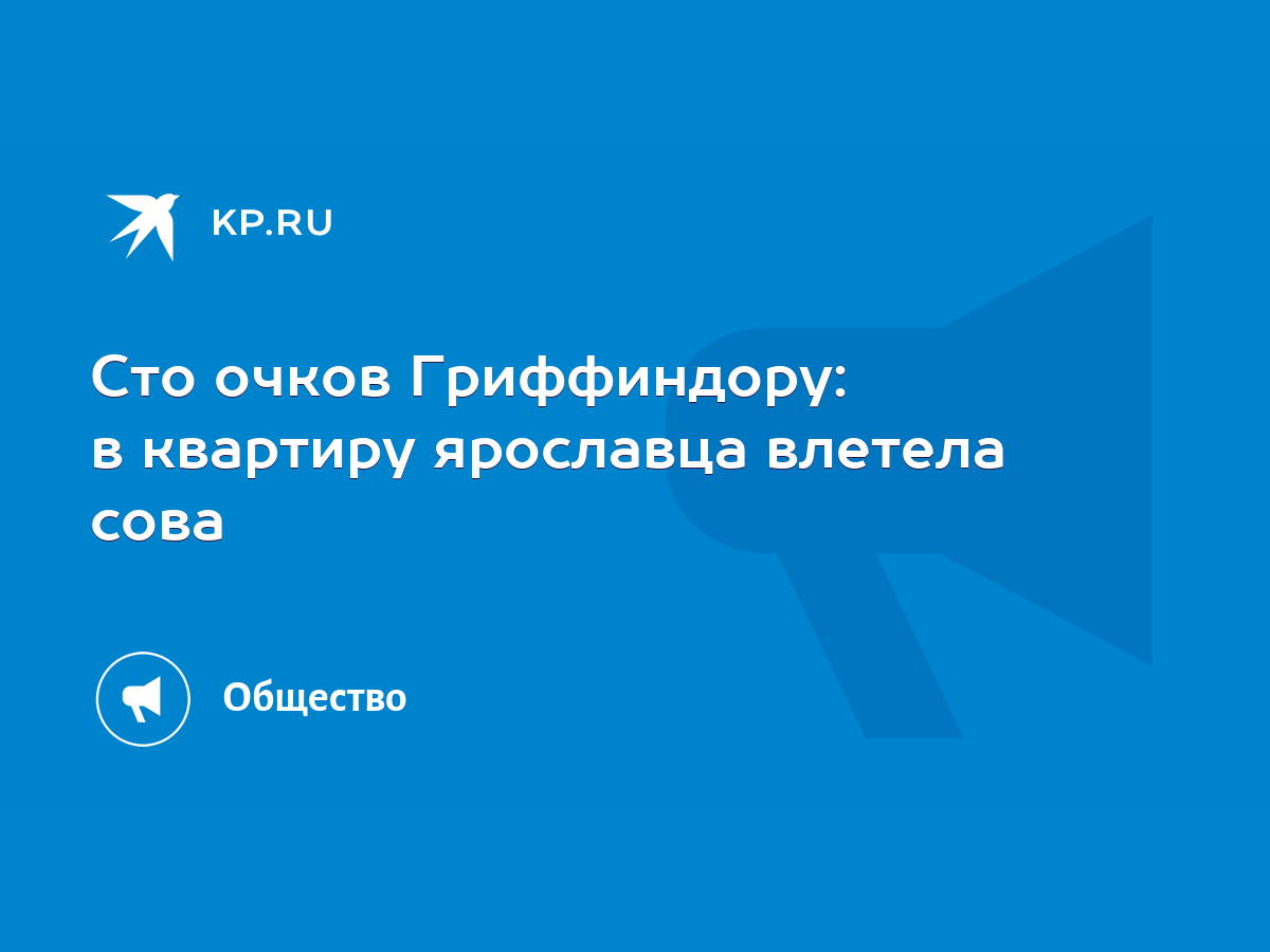 Сто очков Гриффиндору: в квартиру ярославца влетела сова - KP.RU