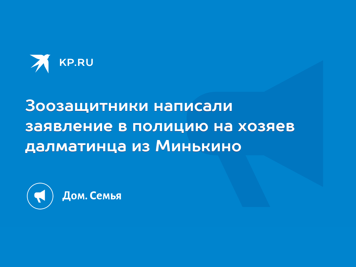 Зоозащитники написали заявление в полицию на хозяев далматинца из Минькино  - KP.RU