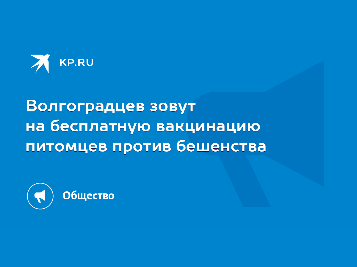 Волгоградцев зовут на бесплатную вакцинацию питомцев против бешенства -  KP.RU