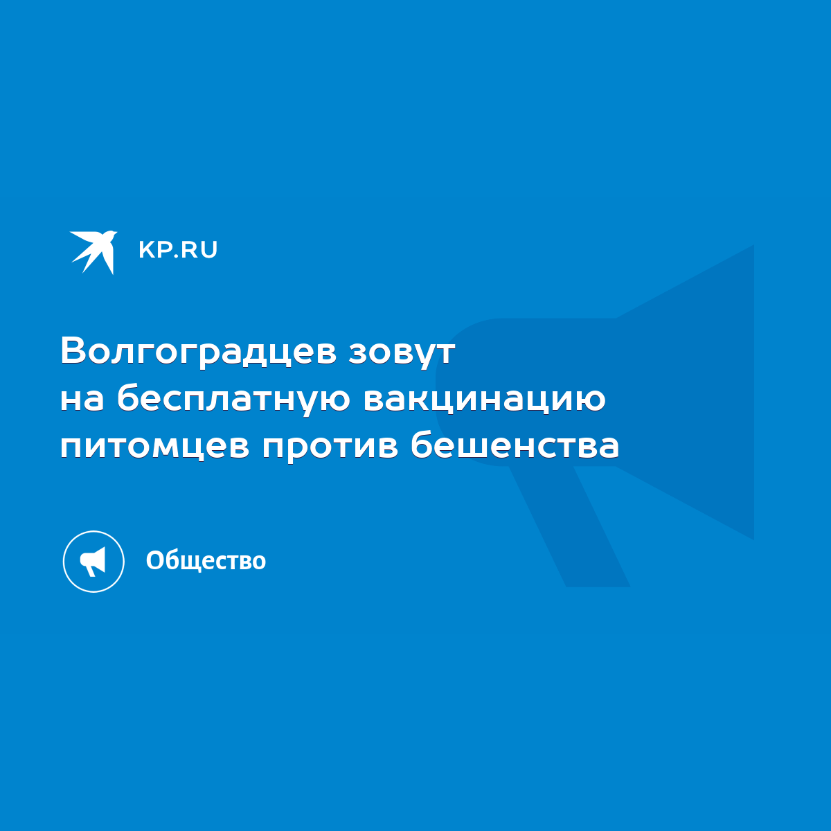 Волгоградцев зовут на бесплатную вакцинацию питомцев против бешенства -  KP.RU