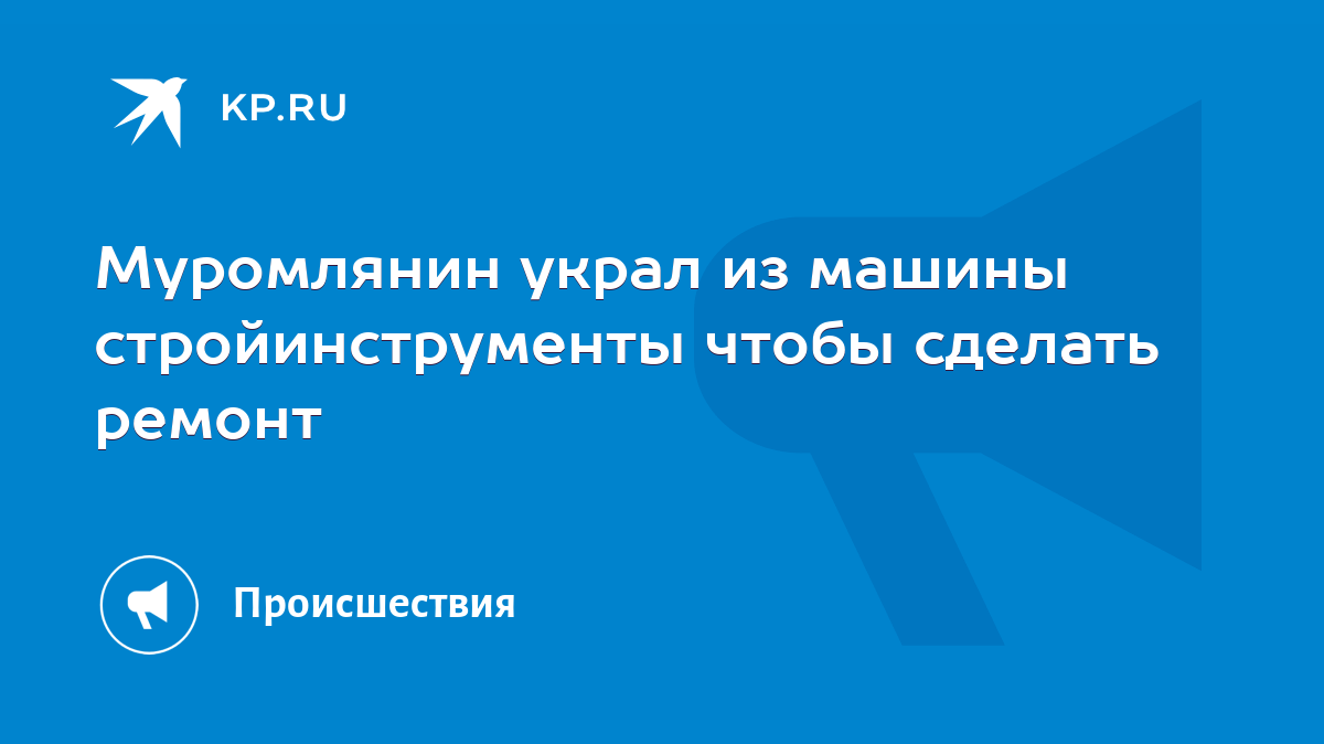 Муромлянин украл из машины стройинструменты чтобы сделать ремонт - KP.RU