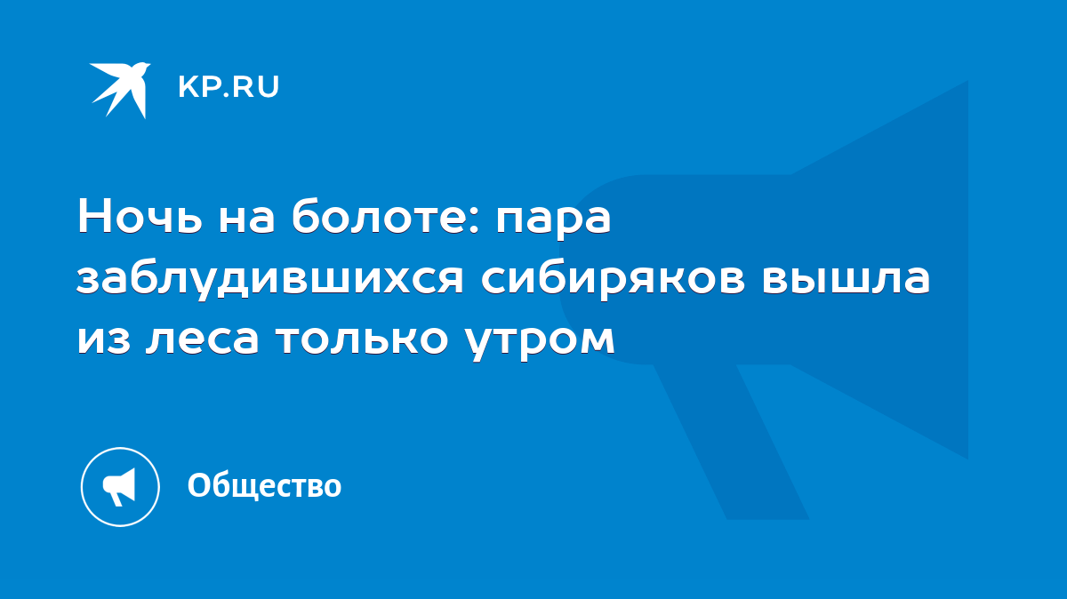 Ночь на болоте: пара заблудившихся сибиряков вышла из леса только утром -  KP.RU