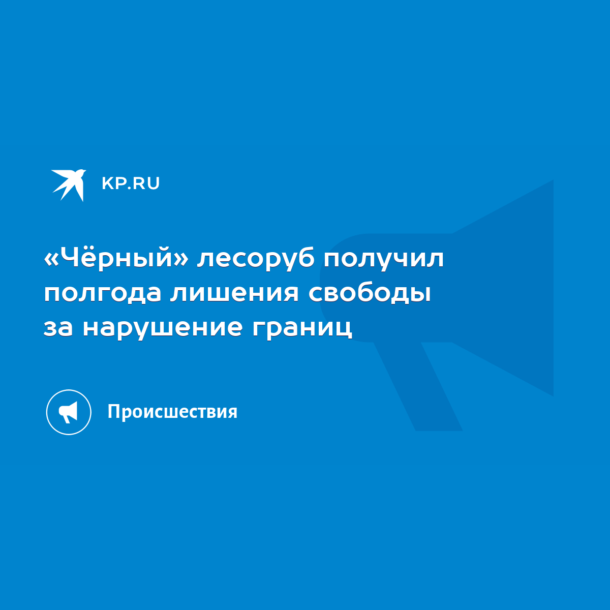 Чёрный» лесоруб получил полгода лишения свободы за нарушение границ - KP.RU